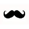 BraveMustache`s Avatar